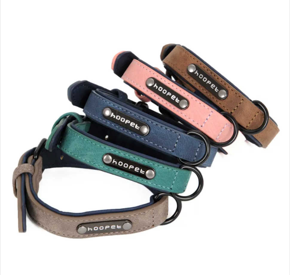 Adjustable Dog Collar & Leash Set – Eco-Friendly PVC, All Sizes