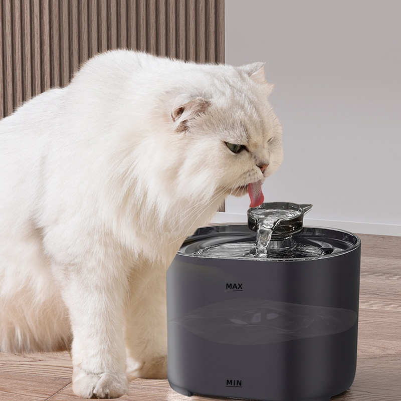 Cat Water Fountain – Self-Filtering Pet Drinking Fountain