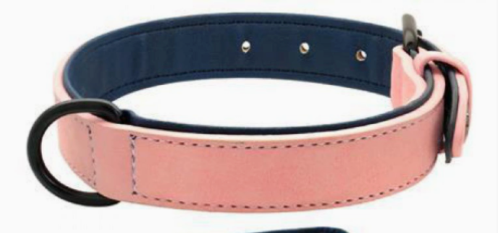 Adjustable Dog Collar & Leash Set – Eco-Friendly PVC, All Sizes